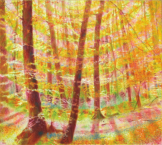 Bild: Herbstwald