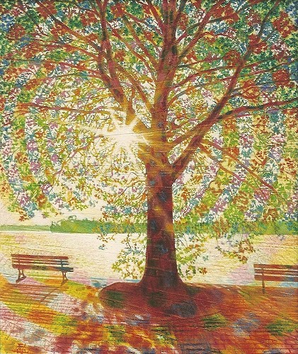 Bild: Sonne im Baum